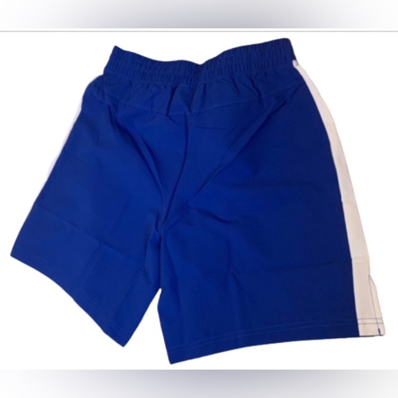 ASICS Men’s Size S Silver 7" Blue, White Short - Picture 2 of 4